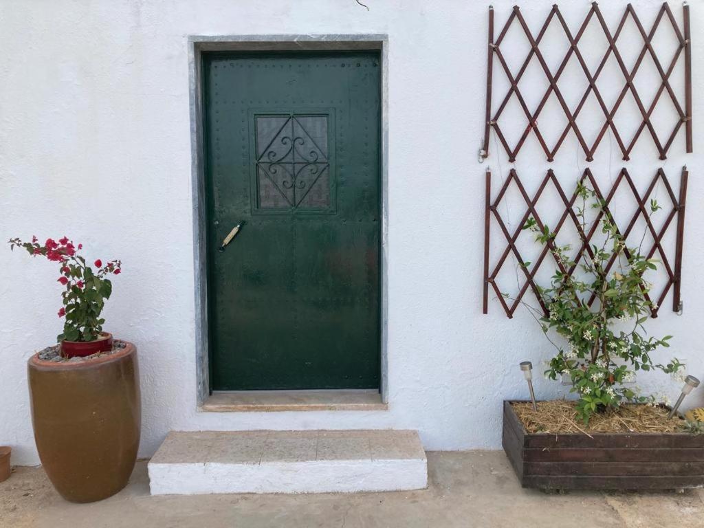Yoga Farm Tavira